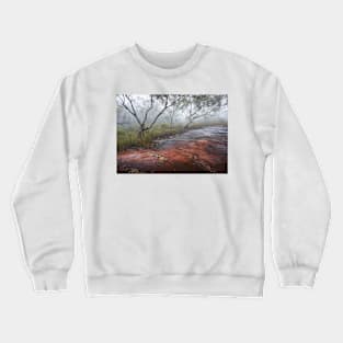 Trees & Rocks Crewneck Sweatshirt